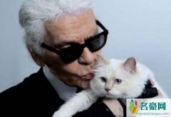 遗产由猫继承 香奈尔老佛爷巨额遗产由猫咪继承