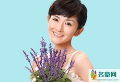 谢娜给刘烨打过几次胎 最终导致谢娜无法正常怀孕是真的吗