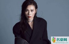 蔡健雅整容对比照片 蔡健雅是变性人吗整成现在这样是真的吗