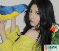 本兮公开致歉假死事件 有人在韩国看到了本兮是真的吗