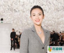 张艺谋谈天价片酬 张艺谋与章子怡打脸流量明星不给情面