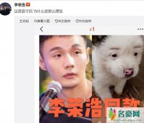 李荣浩同款狗狗 宠物狗撞脸李荣浩惊人相似却因售价太低惹怒本尊