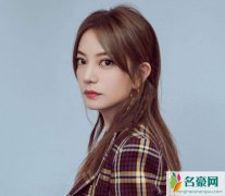 国家为什么不抓赵薇 赵薇坑股民的钱导致如今赵薇面相变了