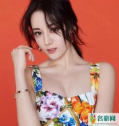 极限挑战黄渤孙红雷退出 迪丽热巴成功补位被爆背后有大佬是真的吗