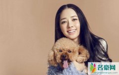 向太喜欢郭碧婷吗 向太超满意未来儿媳妇微博不停称赞女方