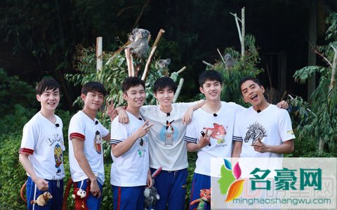 《高能少年团》在动物园中度过的一天 为王俊凯送祝福给考拉取名为高考