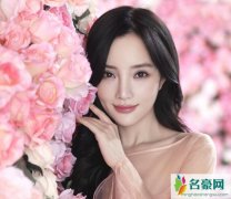 李小璐名誉案胜诉 李小璐和贾乃亮现状曝光李小璐是清白的吗