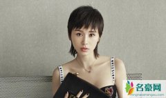 王子文真实年龄是1982？ 王子文到底多少岁引关注