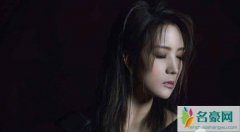 何洁和苏醒什么关系 为什么网上说何洁第二任老公是苏醒