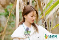 杨超越锦鲤是什么梗 此梗出处及具体内情一览惊呆众人
