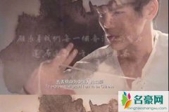 向佐找回那个令我们骄傲的香港 中国骄傲以身作则
