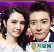 洪欣和刘銮雄分手费都给洪欣什么了 刘銮雄怎么评价洪欣