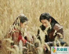 东宫为什么下架 揭露东宫突然被迫下架原因及下架始末