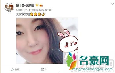 陈十三和万绮雯为什么没孩子 被甄子丹弄坏了失去了生育能力?