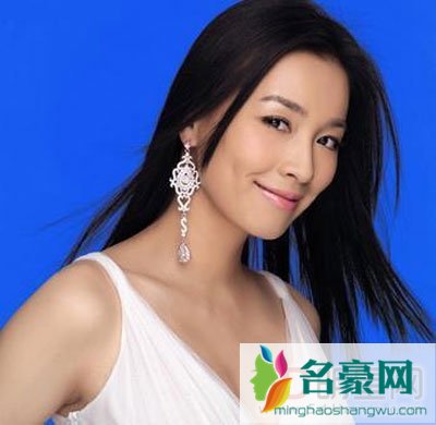 林瑞阳女儿林静发生什么事 林瑞阳小儿子多大了