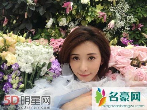 林志玲为什么不结婚 林志玲不结婚她的私生活什么样