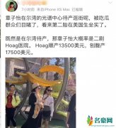 章子怡美国待产 具体始末曝光揭露章子怡二胎究竟是男是女