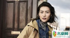 刘雯为什么不谈恋爱 超模刘雯被粉丝催婚网友好奇她单身原因