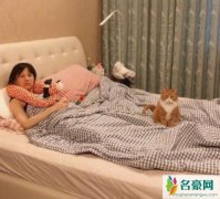 papi酱孕肚照片 papi酱怀孕多少个月了素颜躺床十分纤瘦