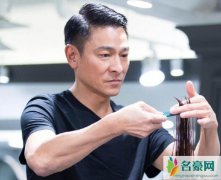 刘德华取消演唱会 14场演唱会全部取消损失惨重