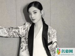 梅婷现任70岁老公曝光 梅婷老公曾斩获金马奖