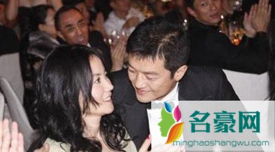 王菲的婚姻史 关于王菲离婚的原因