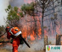 侮辱救火英雄 为吸引关注侮辱救火英雄键盘侠网友资料被人肉