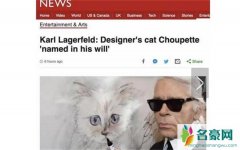 时尚界大佬拉格斐的遗产由猫继承 世界上最富有的猫诞生