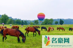 2021武汉乡村旅游惠民券什么时候预约 武汉乡村旅游惠民券活动规则