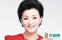 杨澜的前夫是谁 揭露最火的知性主持人杨澜感情婚姻怎样