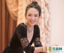 章子怡被曝怀二胎 章子怡二胎预产期是什么时候生男孩还是女孩