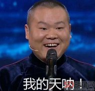 岳云鹏机场购物牵老母 说说岳云鹏相声水平怎样
