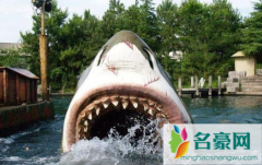 北京环球影城有大白鲨项目吗 北京环球影城有什么好玩的