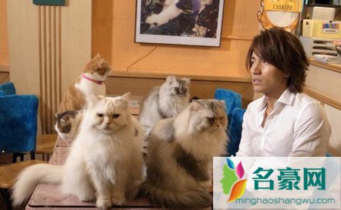 康熙来了言承旭个人简介 言承旭小时候照片