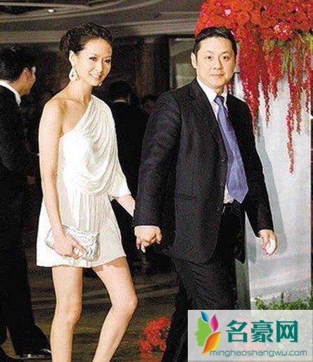 孙芸芸与廖镇汉婚礼 孙芸芸最近上的节目