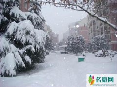 齐齐哈尔暴雪围城 家门被雪堵住出门全靠爬窗