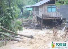 武夷山暴雨中猴子蹲桥上避嫌 网友称赞这猴子成精了