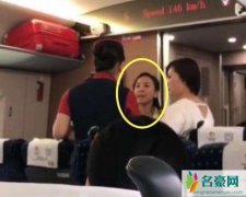 g521高铁恶女找茬女乘务员 揭G521女乘客拒绝查票遭人肉事件始末