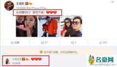 王岳伦表白李湘王诗龄 王岳伦深情表白妻女评论却全面翻车