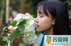 李子柒的视频为什么不更新了2021 为什么感觉李子柒不如以前红了