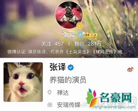 厉害了我的张译 猫奴变身知乎大咖探讨猫尿尿