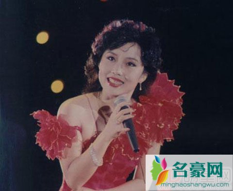 胡月西北风领军人物简介 受伤后消失在娱乐圈中