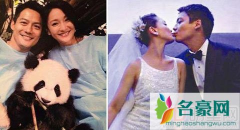 娱乐圈又惊现女星离婚 这次是周迅