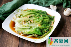 蚝油生菜是圆生菜还是叶生菜 蚝油生菜的做法