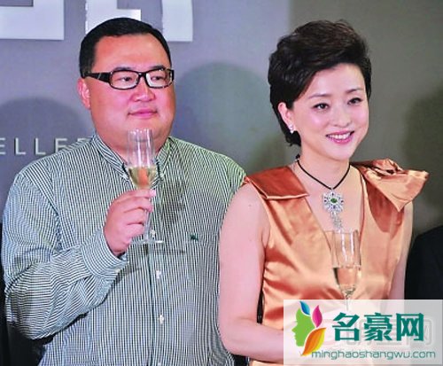 杨澜和前夫有孩子吗 杨澜前任个人资料简介