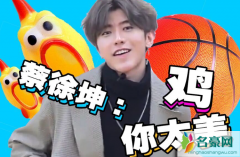 蔡徐坤打篮球是什么梗 鸡你太美是什么意思为什么嘲讽坤坤
