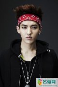 吴亦凡胜诉还艺人名誉 网友吐槽想红无下限