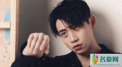 鹿晗为什么不关注魏晨 众明星对魏晨的评价怎么样