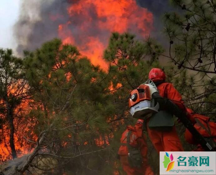 凉山火灾最新消息