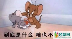 抖音咱也不敢问是什么梗 抖音评论咱也不敢问是什么意思